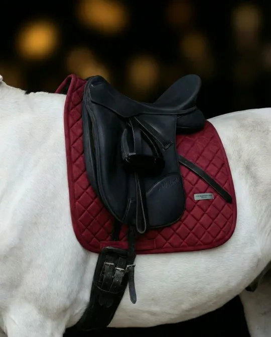 Вальтрап • Weightless • (Бордо | выездка )