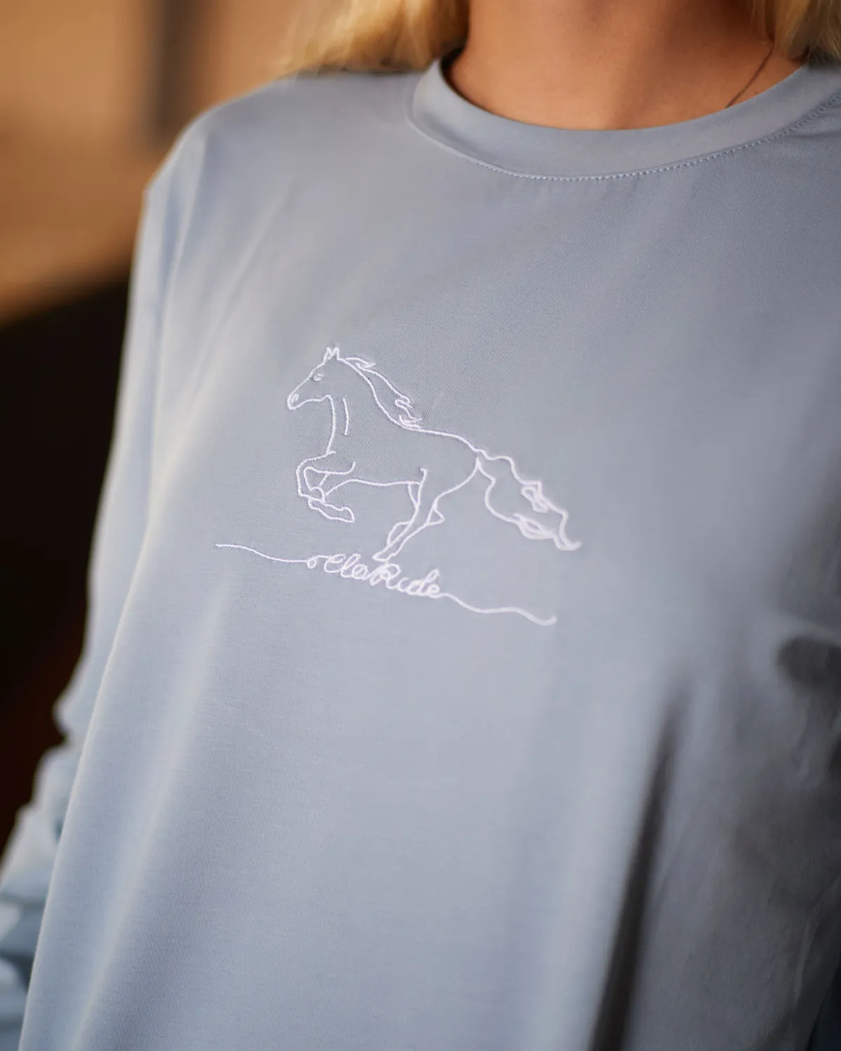 Лонгслив Horse голубой (L)