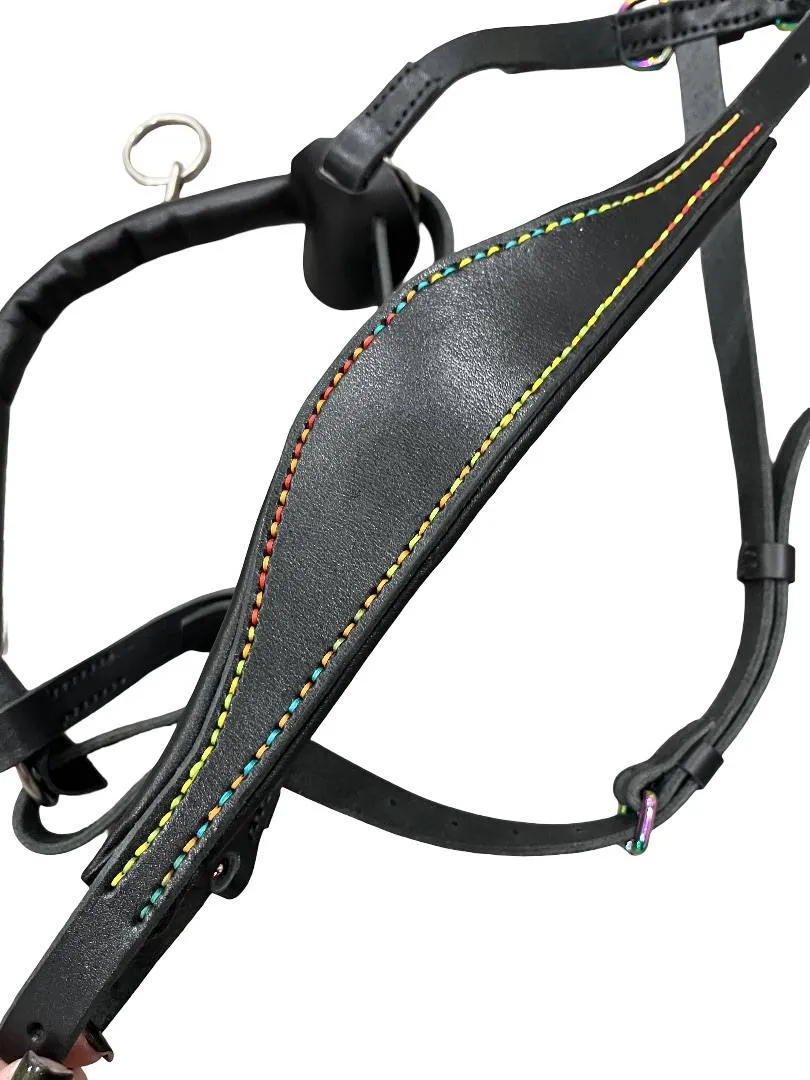 Кавессон с цепью Cob - Full 