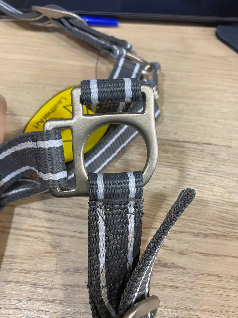 Недоуздок нейлоновый + чумбур PONY LeatherArt