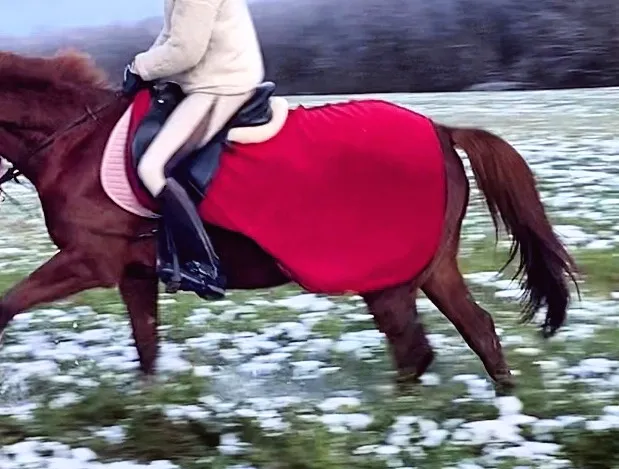 Полупопона под седло флисовая