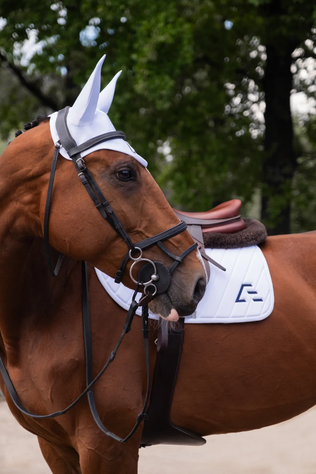 Ушки для лошади ATMO Equestrian (COB, белые)