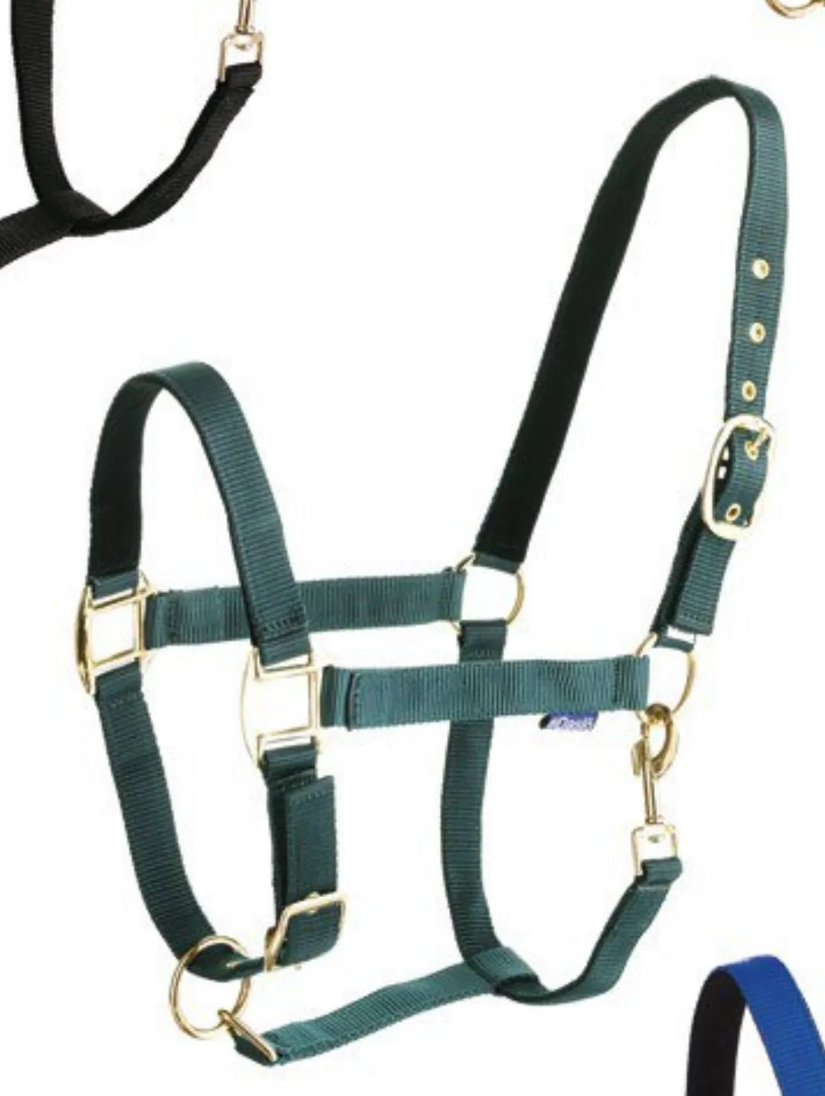 Недоуздок нейлон с подложкой Tattini зеленый FULL