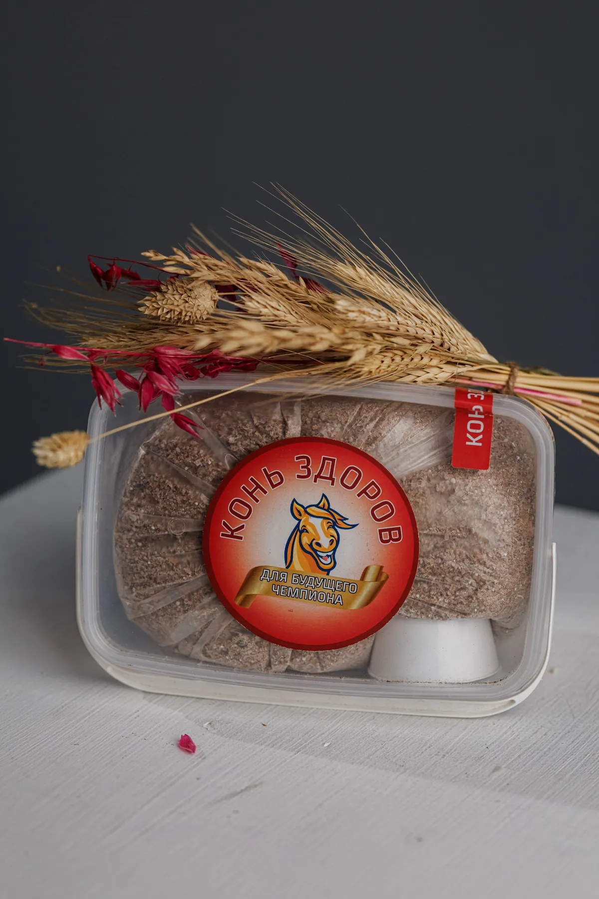 Для Будущих Чемпионов