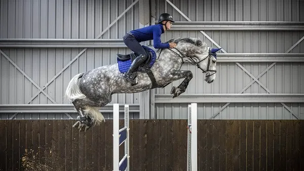 Вальтрап конкурный Loire Classic Close Contact Square, LeMieux (Конкур, Чернильно-синий)