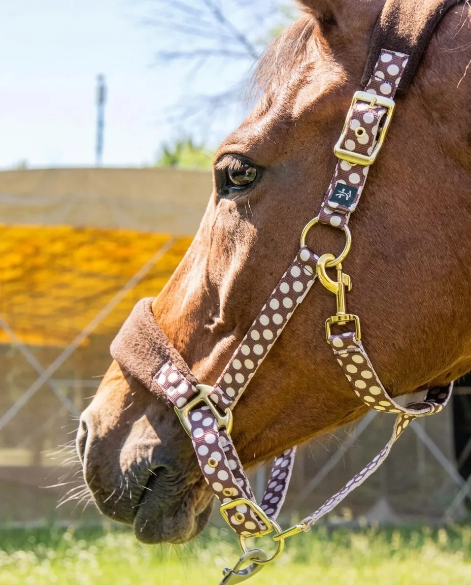 Недоуздок Мелоди HorsePlanet (Pony, Круги)