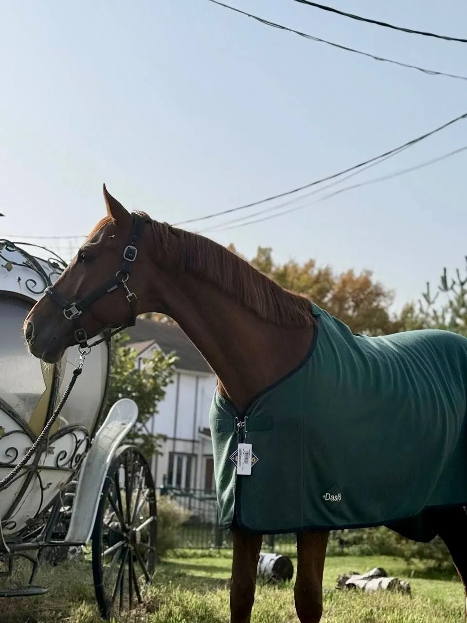 Флисовая попона Daslo 250 гр коричневая 145 см