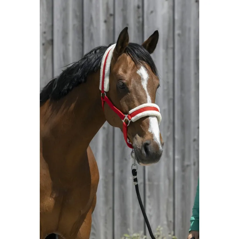 Недоуздок с мехом RIDING WORLD