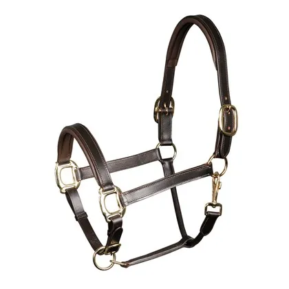 Недоуздок кожаный для лошади Harry's Horse, цвет черный.