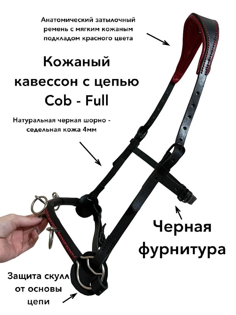 Кавессон с цепью  Cob - Full