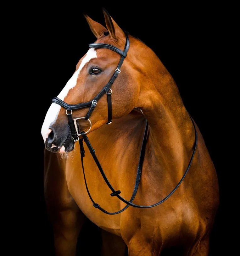 Уздечка анатомическая Horseware Micklem® Competition Bridle, Small Horse