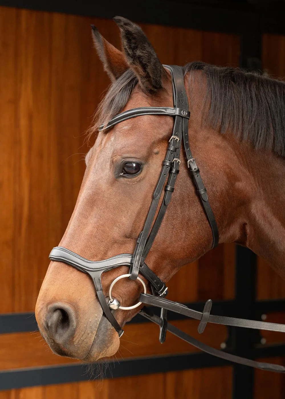 Уздечка Anatomic от Harry's Horse (Чёрный, COB)