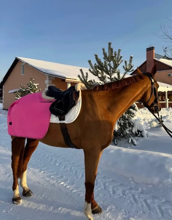 Полупопона Equishop для тренировок розовая 155 см