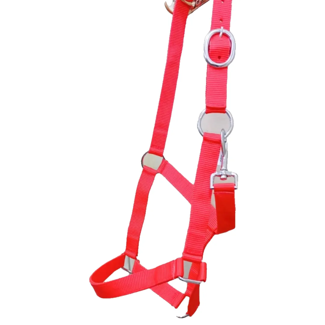 Недоуздок эконом