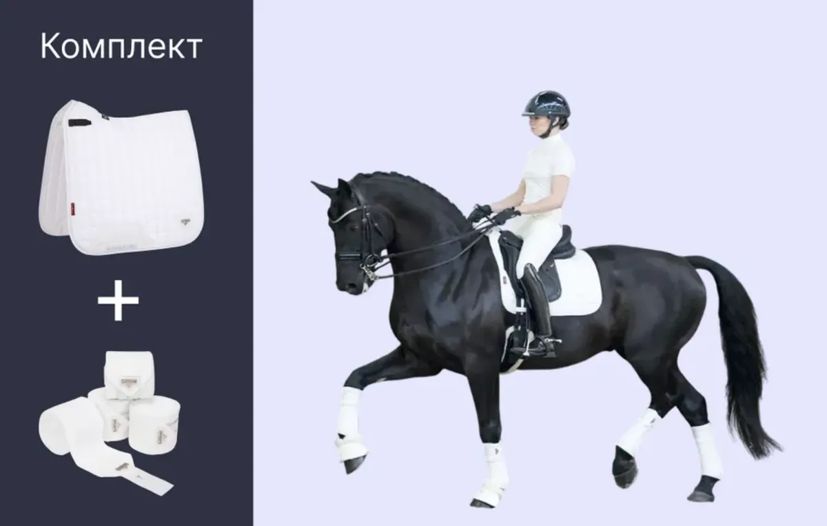 Вальтрап выездковый LeMieux Loire Satin + бинты