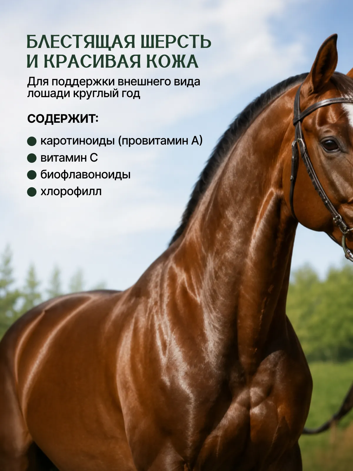 Натуральная кормовая добавка для лошадей "ТАЁЖНАЯ СИЛА"
