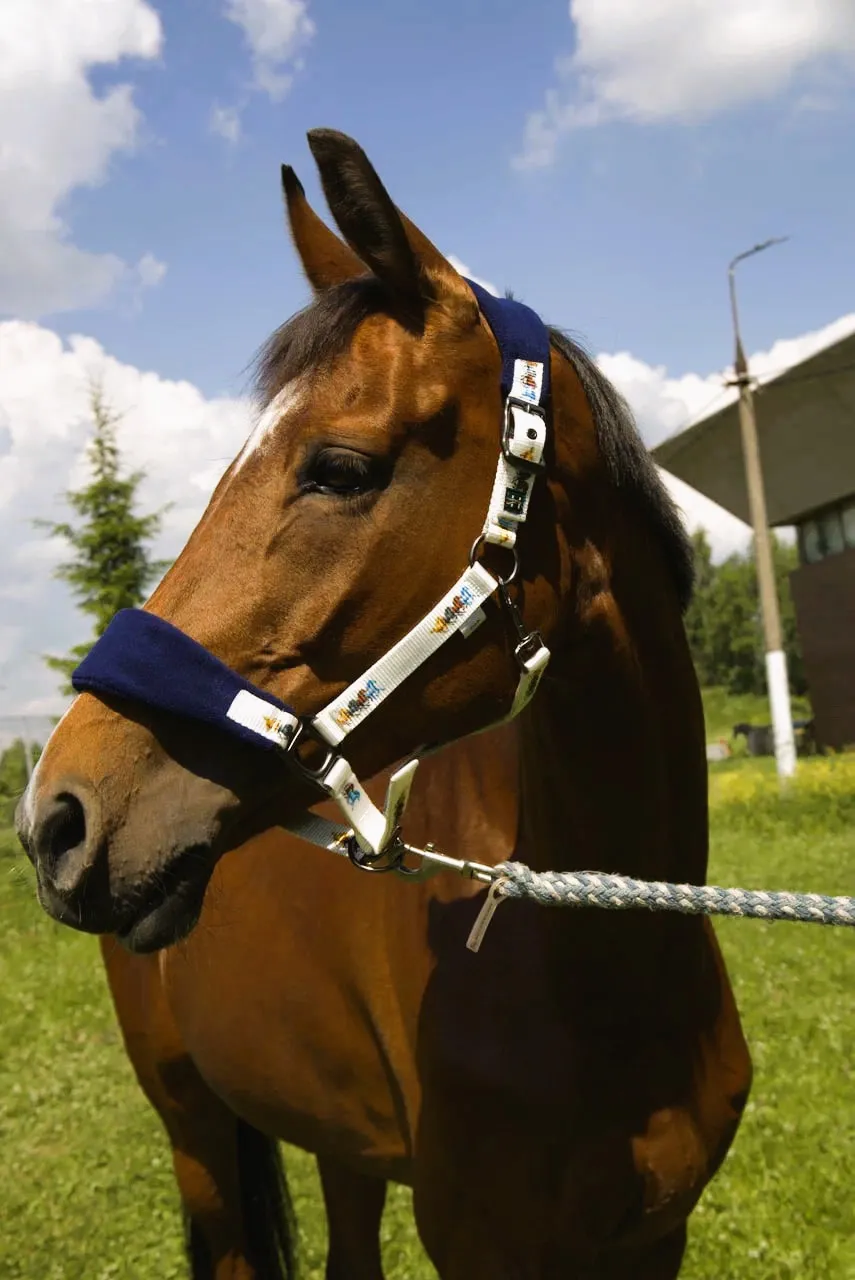 Недоуздок Мелоди HorsePlanet (Pony, Лошадки)
