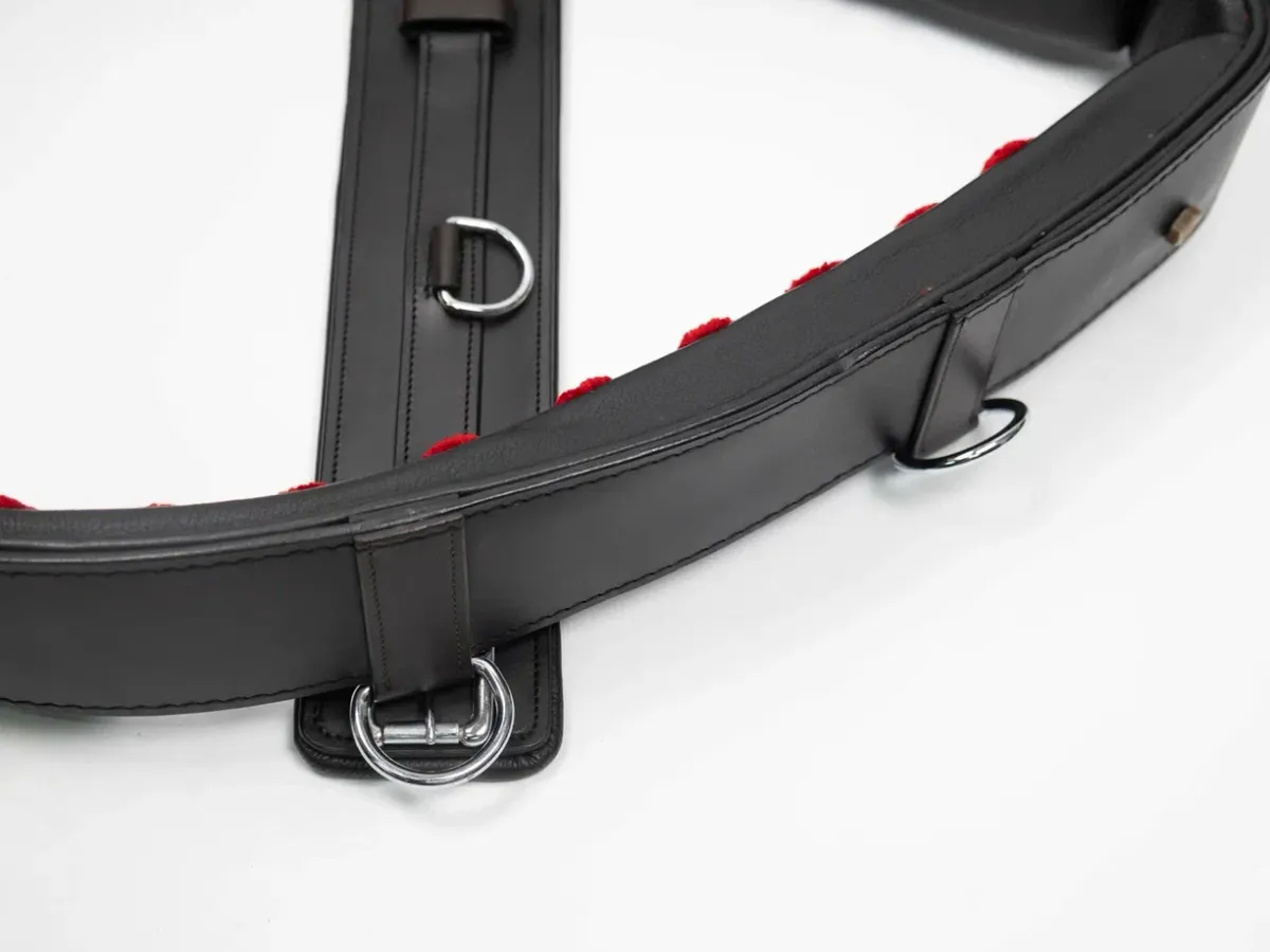 Тренинг система Lammert Haanstra