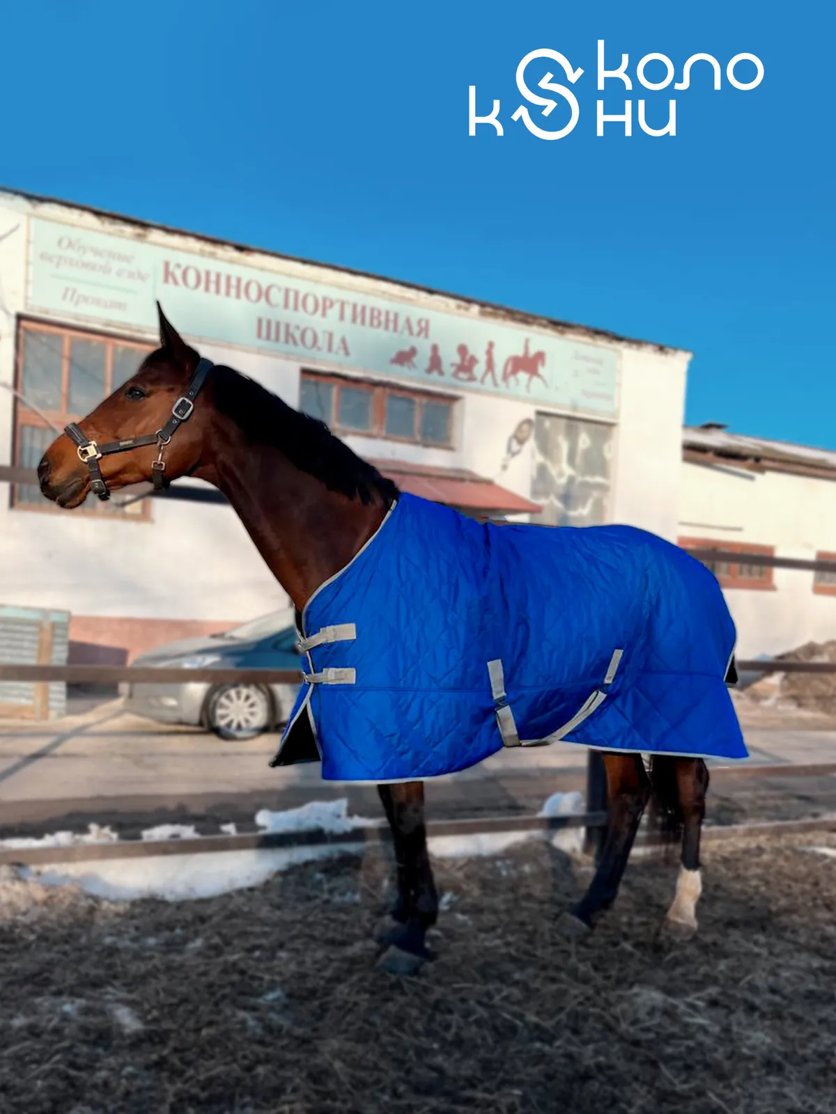 Попона зимняя для лошади конный спорт, верховая езда ОколоКони, цвет синий, р-р 155