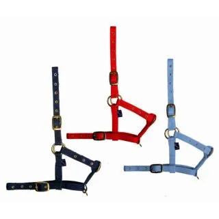 Недоуздок для жеребят "Daslo"