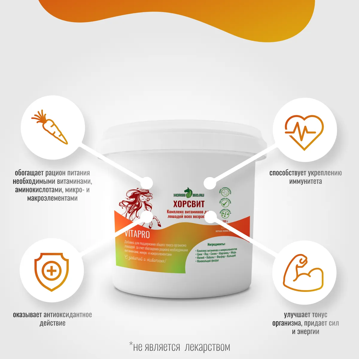 Витаминный комплекс  ХорсВит VitaPro для лошадей, 700 г