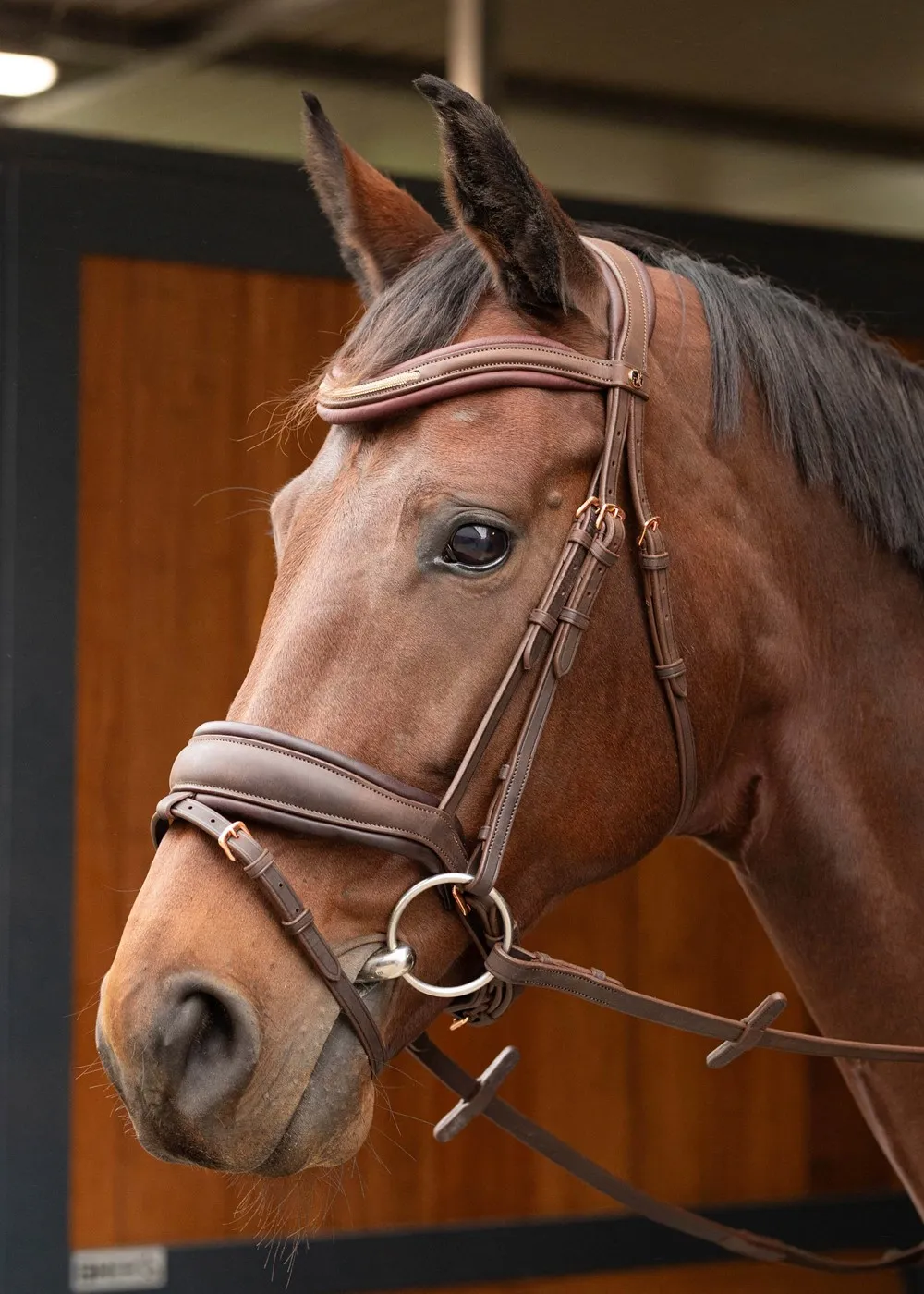 Уздечка со шведским капсюлем Soft Bombastic от Harry's Horse