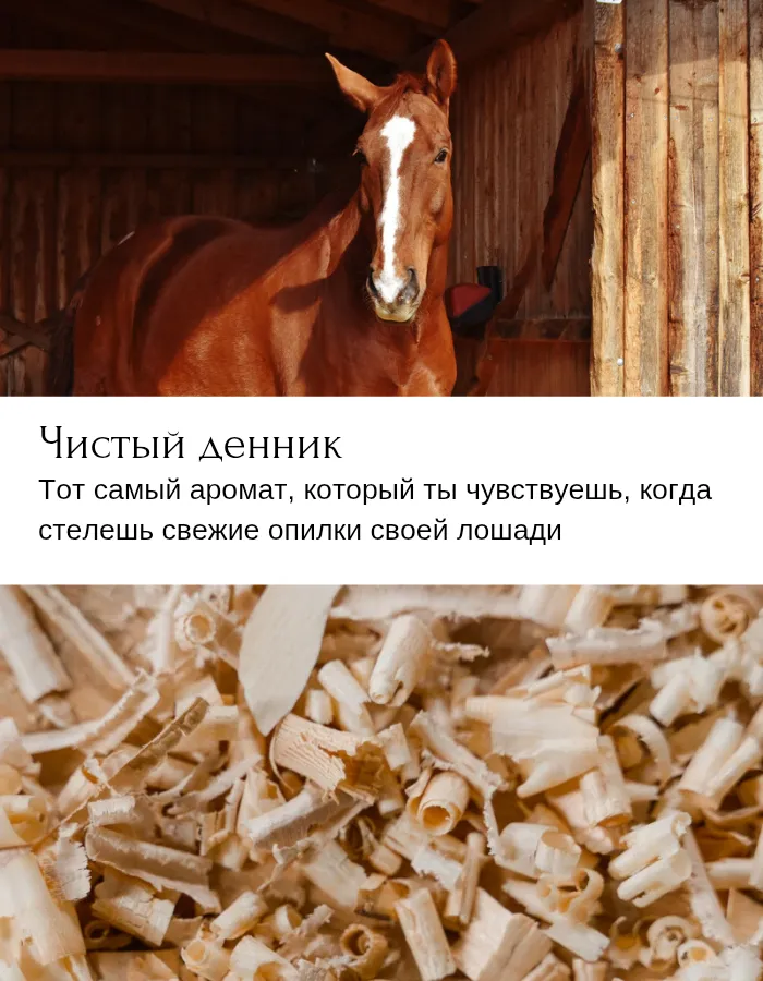 Свеча в банке "Чистый денник"
