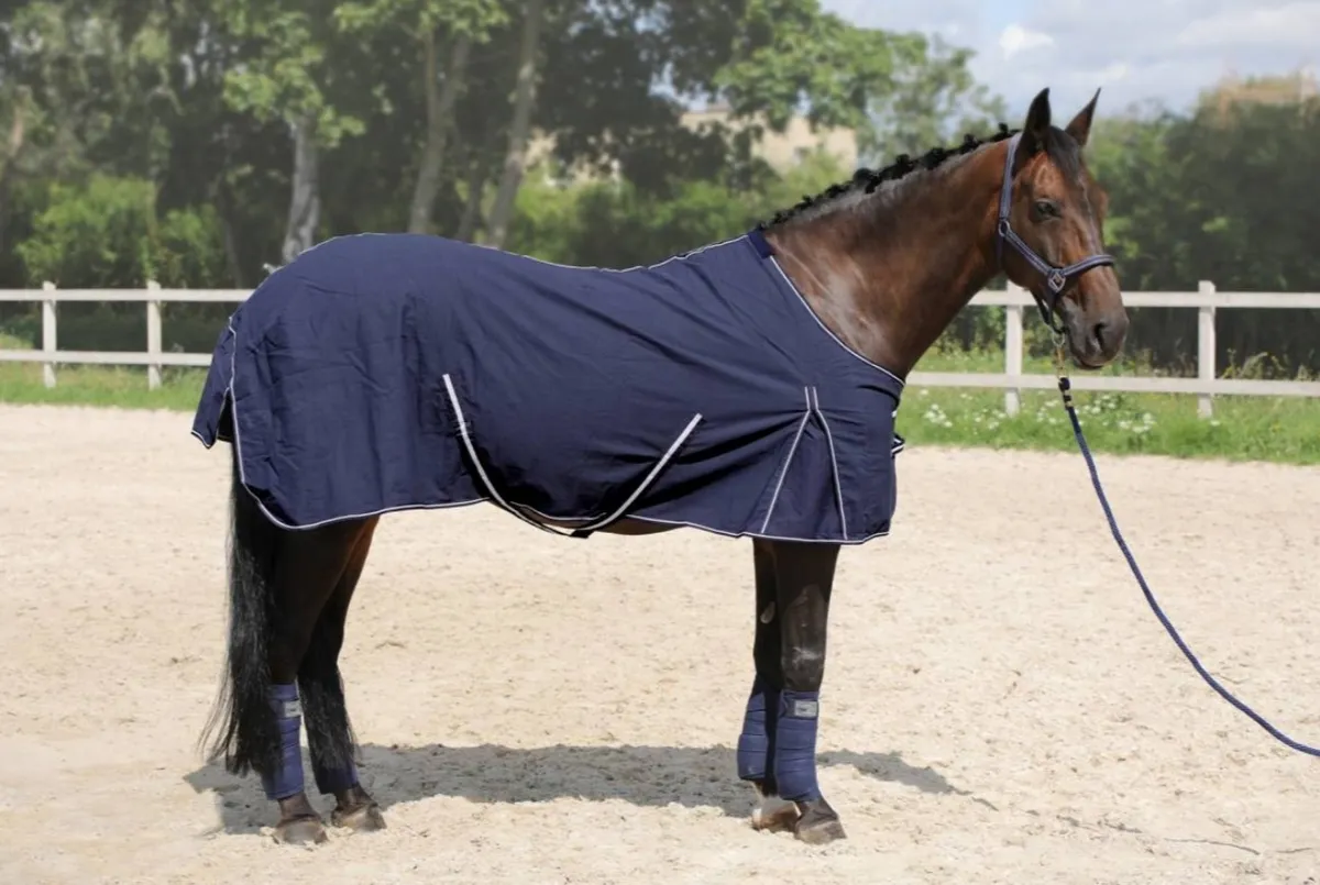 Попона York Torrone денниковая/хлопковая темно-синяя 145 см