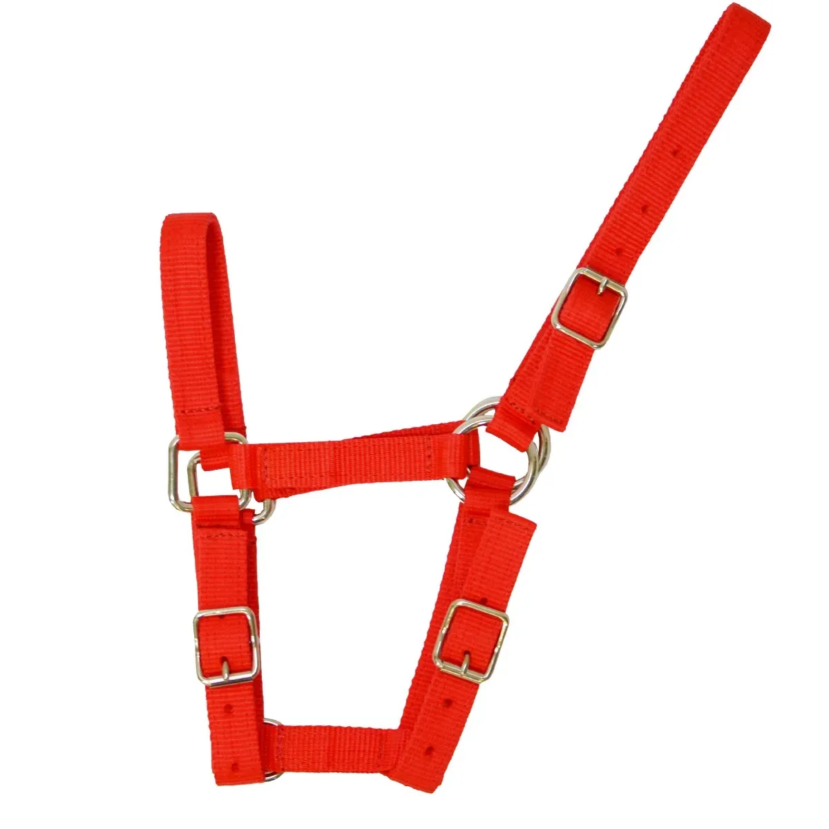 Недоуздок нейлоновый для жеребят '' EQUIMAN''