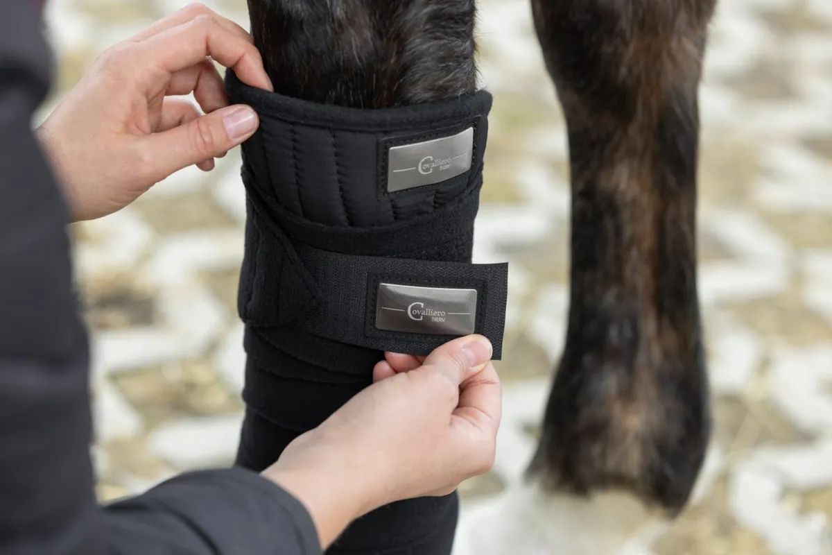 Ватники Therm