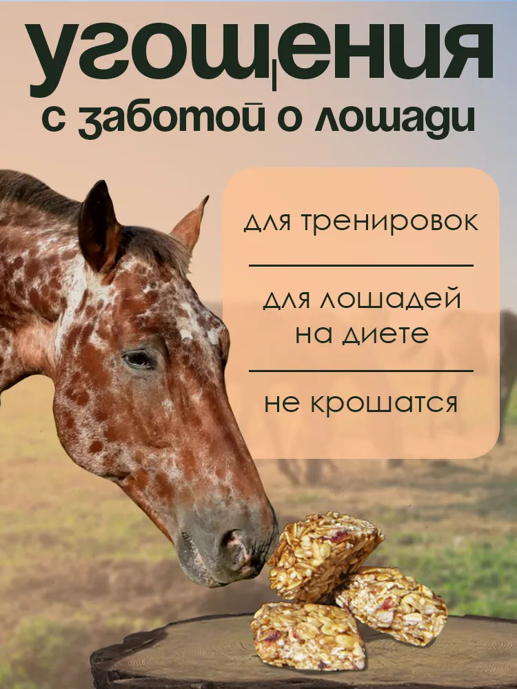 Козинаки овсяные 500гр без сахара PferdEssen