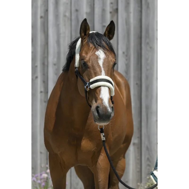 Недоуздок с мехом RIDING WORLD