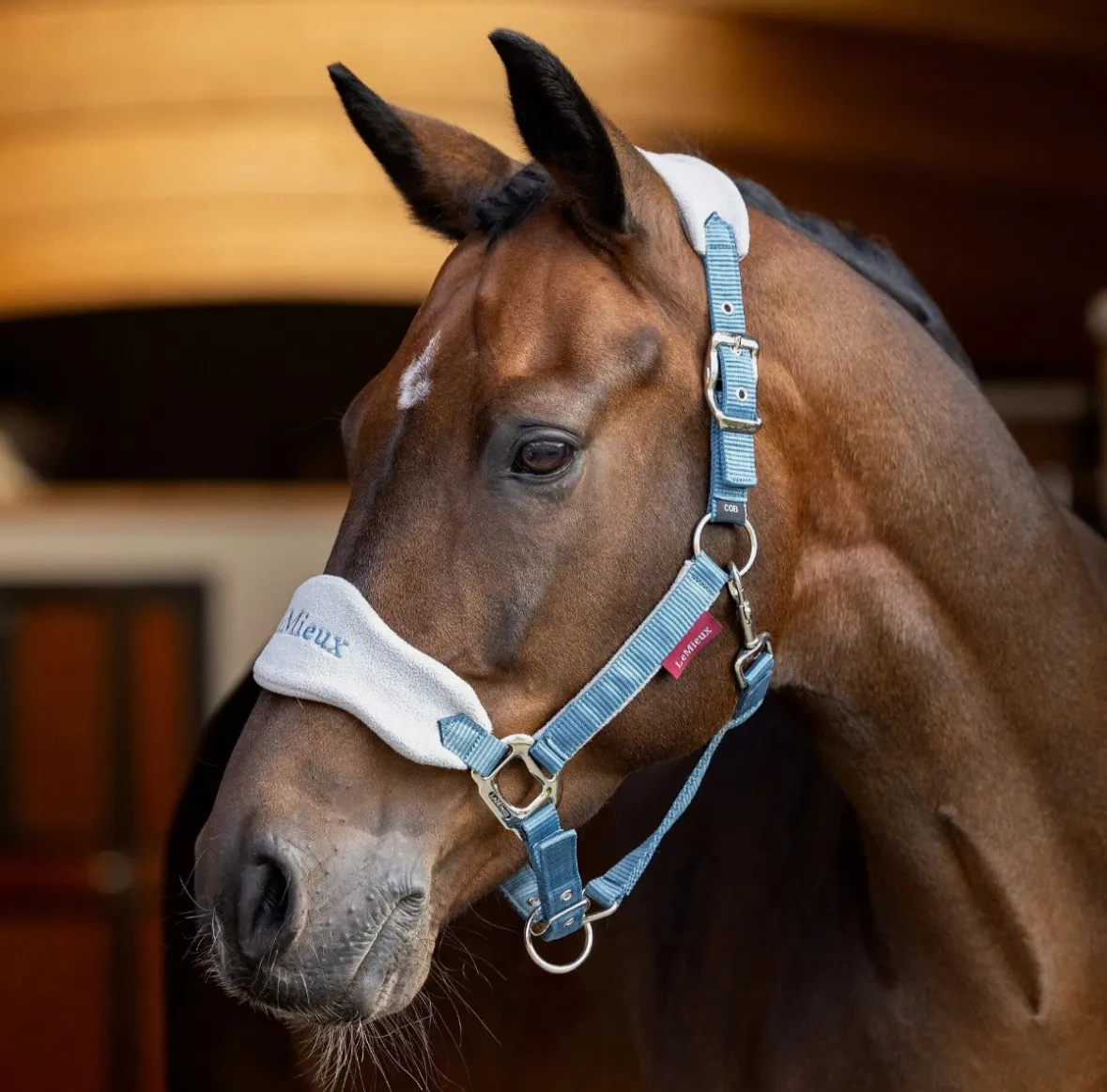 Недоуздок с чомбуром LeMieux