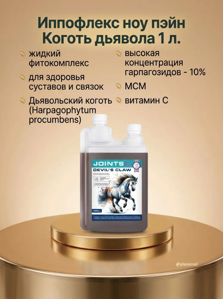 Пробио: Иппофлекс ноу пэйн Коготь дьявола / No pain devil's claw, сироп для суставов на дьявольском когте для лошадей, 1 л.