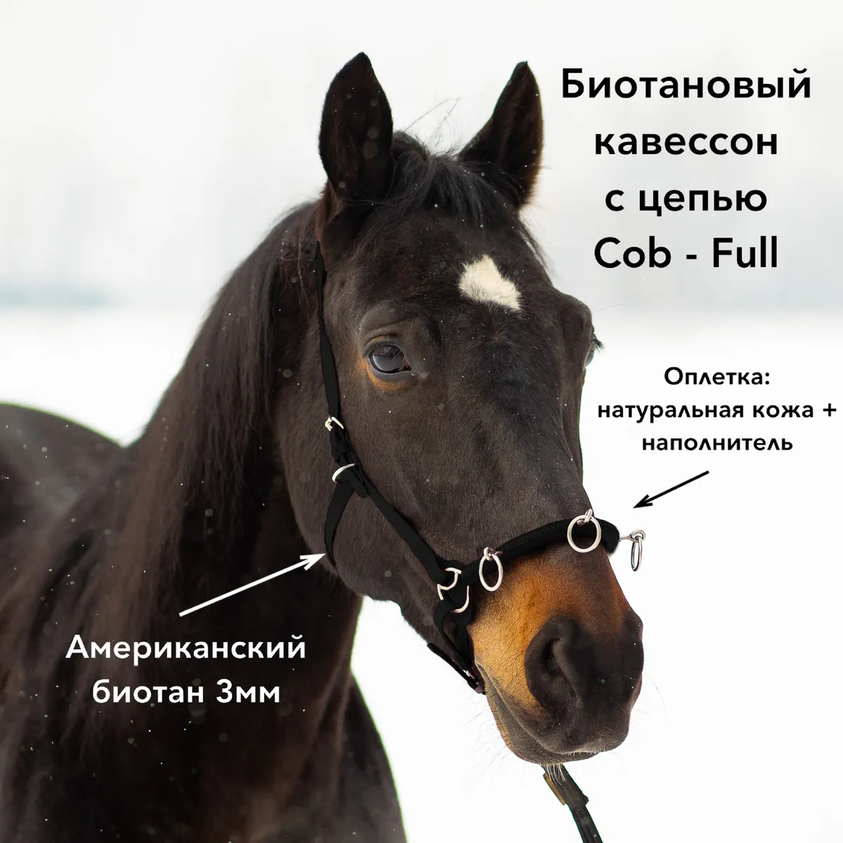 Кавессон с цепью Cob - Full 