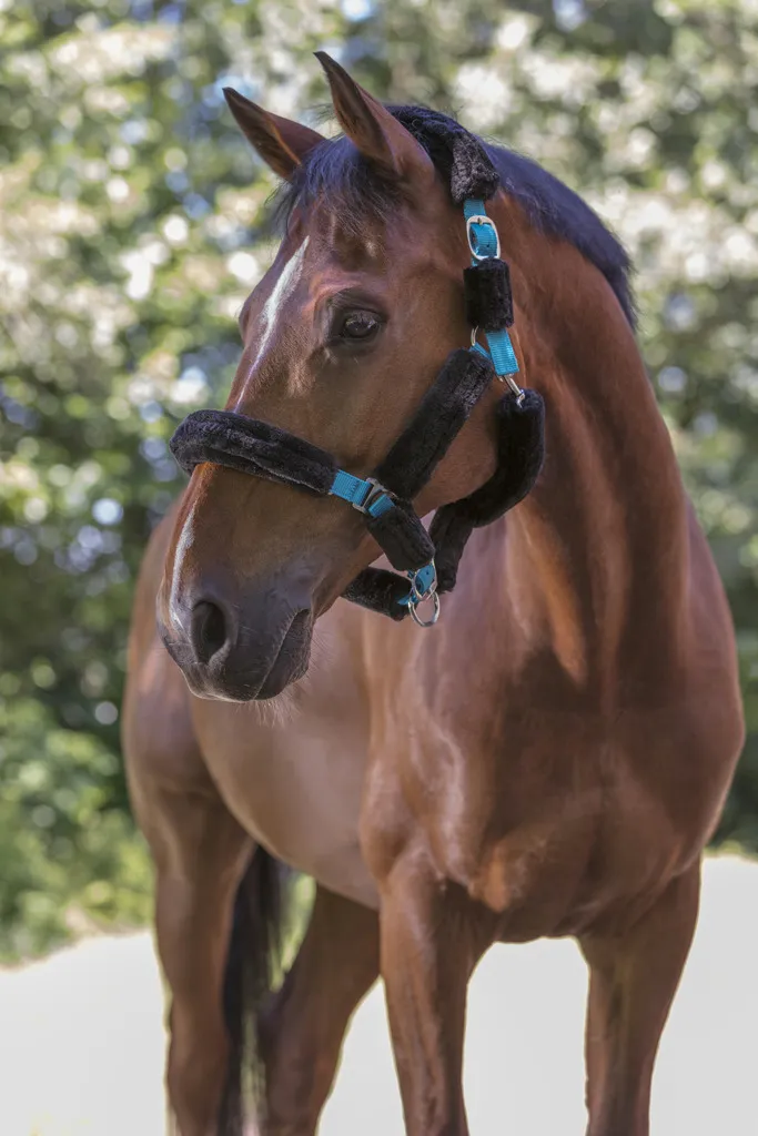 Недоуздок с мехом Mouton Synthetique