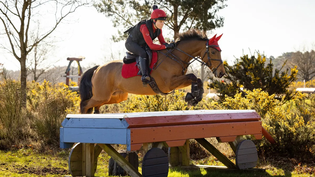 Вальтрап Close Contact Chilli