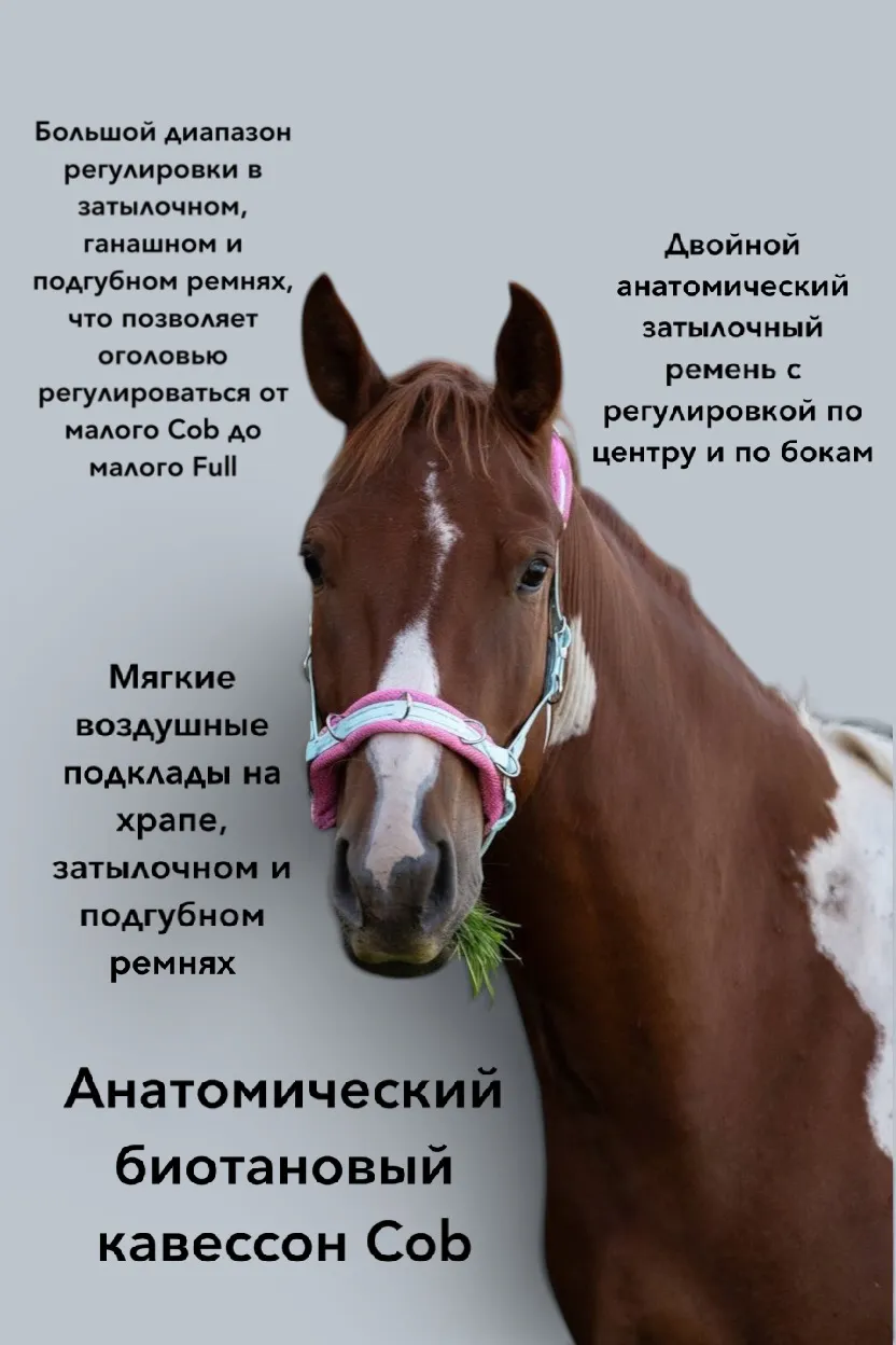 Кавессон биотановый анатомический