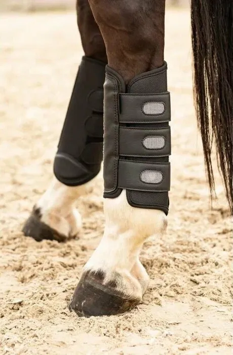 Ногавки троеборные