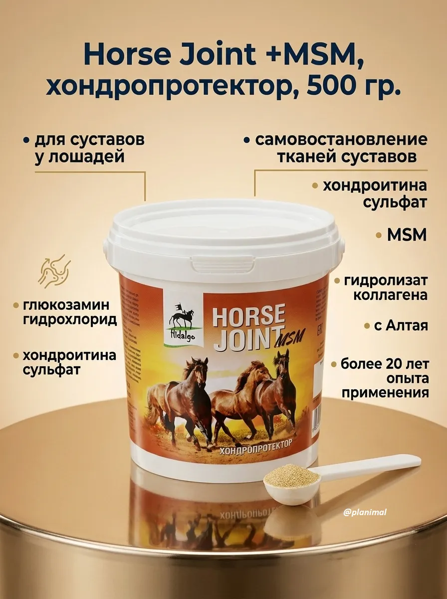 Идальго: Horse Joint +MSM, хондропротектор, 500 гр.