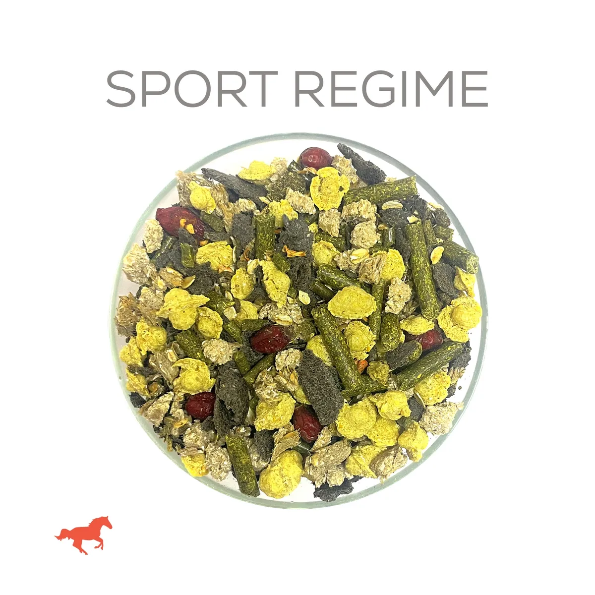 SPORT REGIME "Спорт Режим"