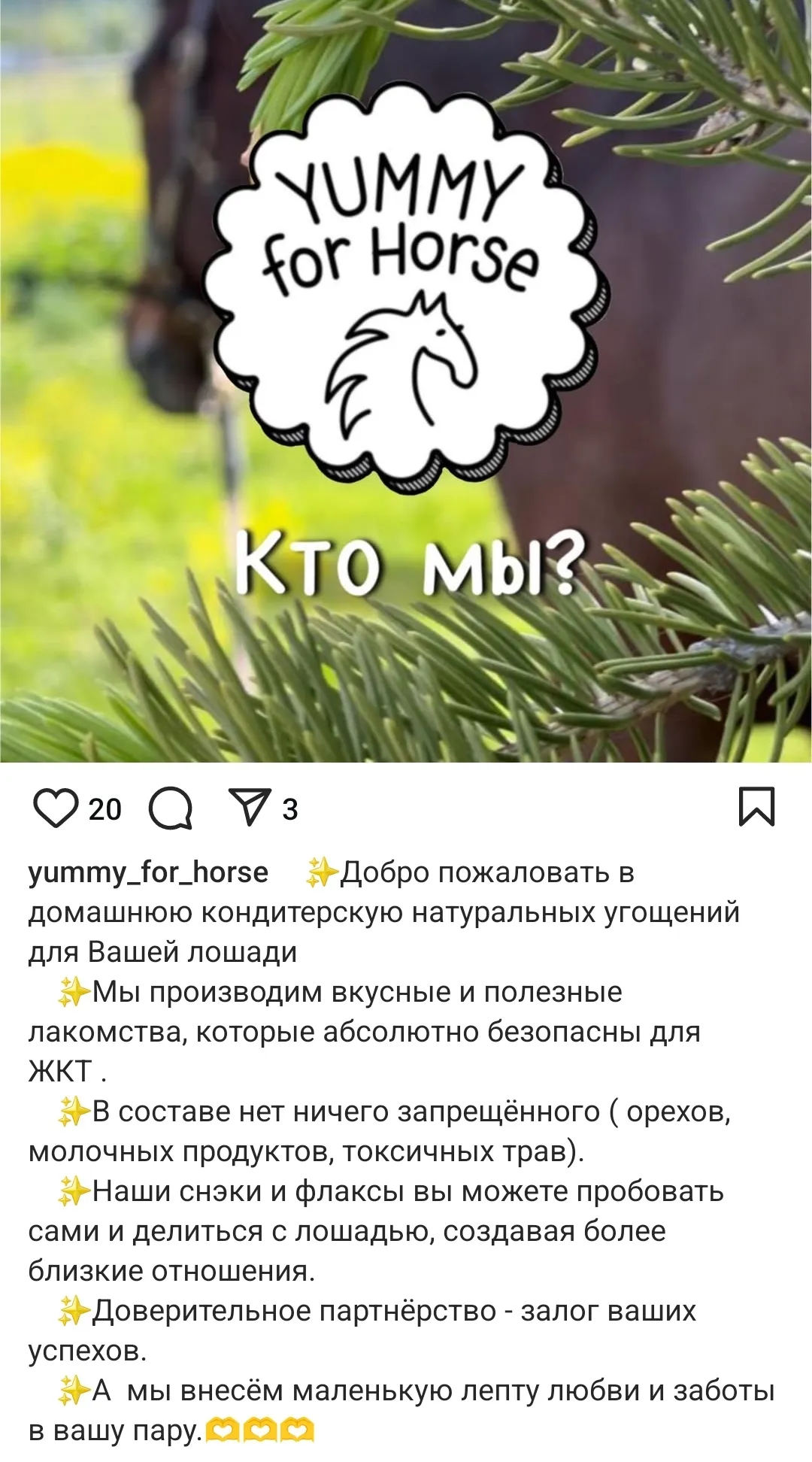 Лакомства для лошадей. Флаксы натуральные (травы имунные)