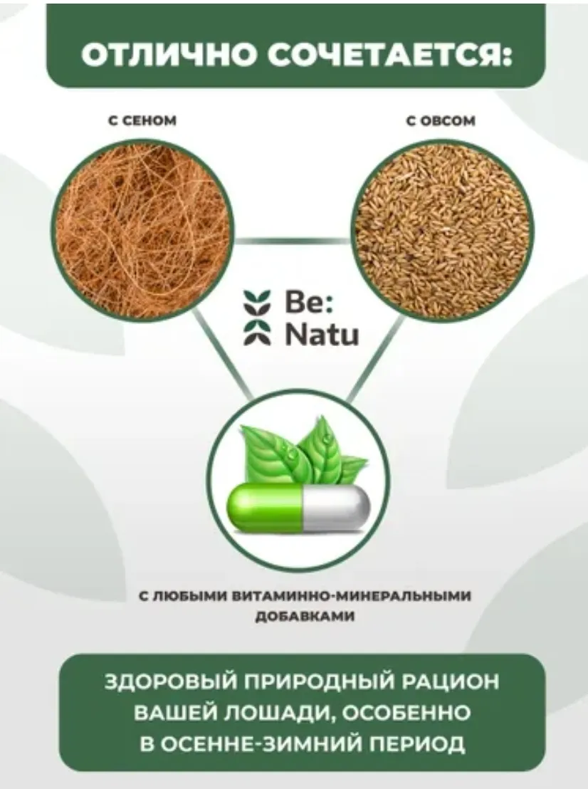 BeNatu Лен PreFab кормовая добавка 10 кг
