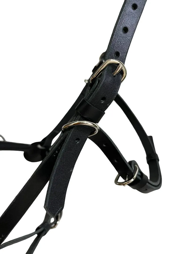 Кавессон с цепью Cob - Full 