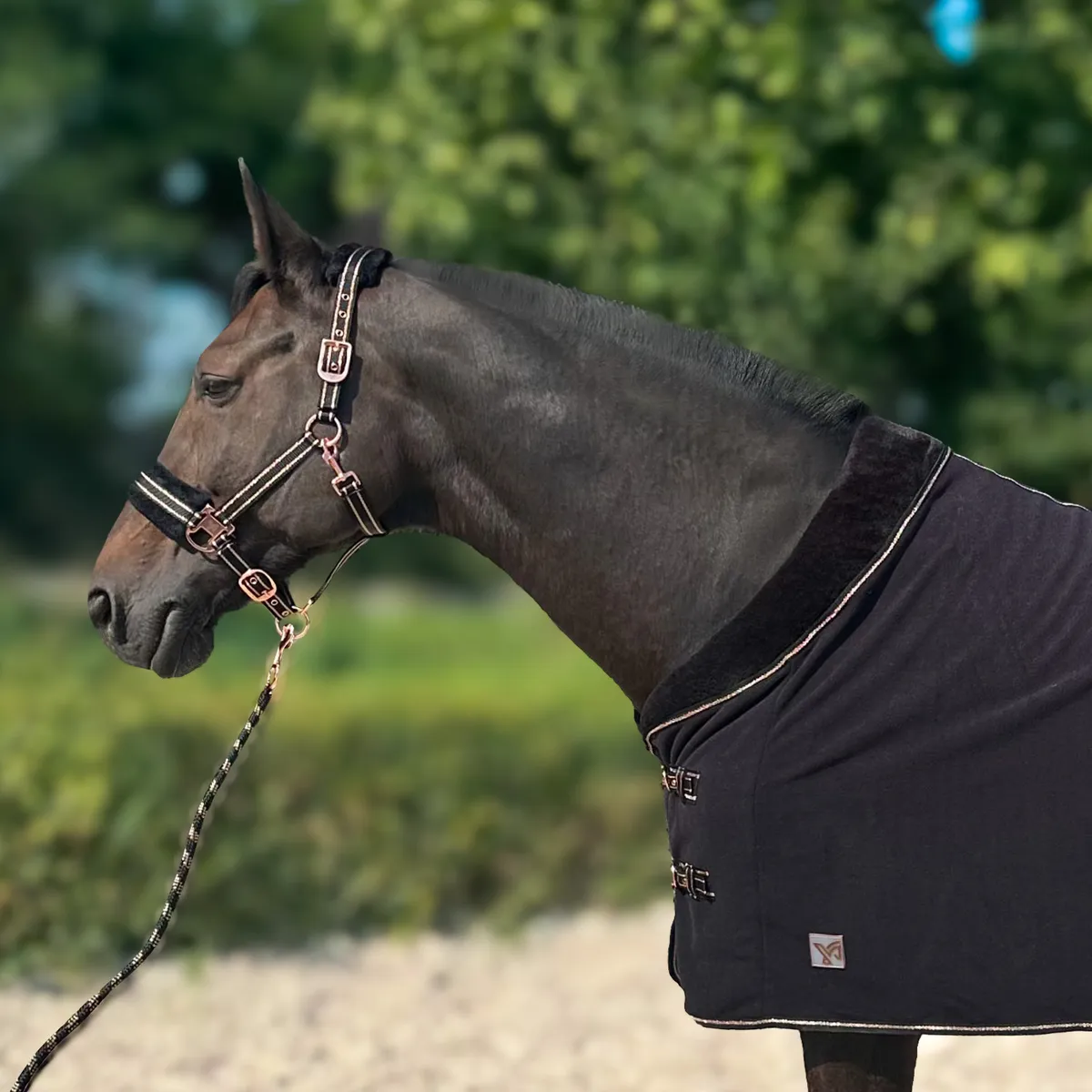 Попона York Gold Star флисовая без ремней черная 135 см