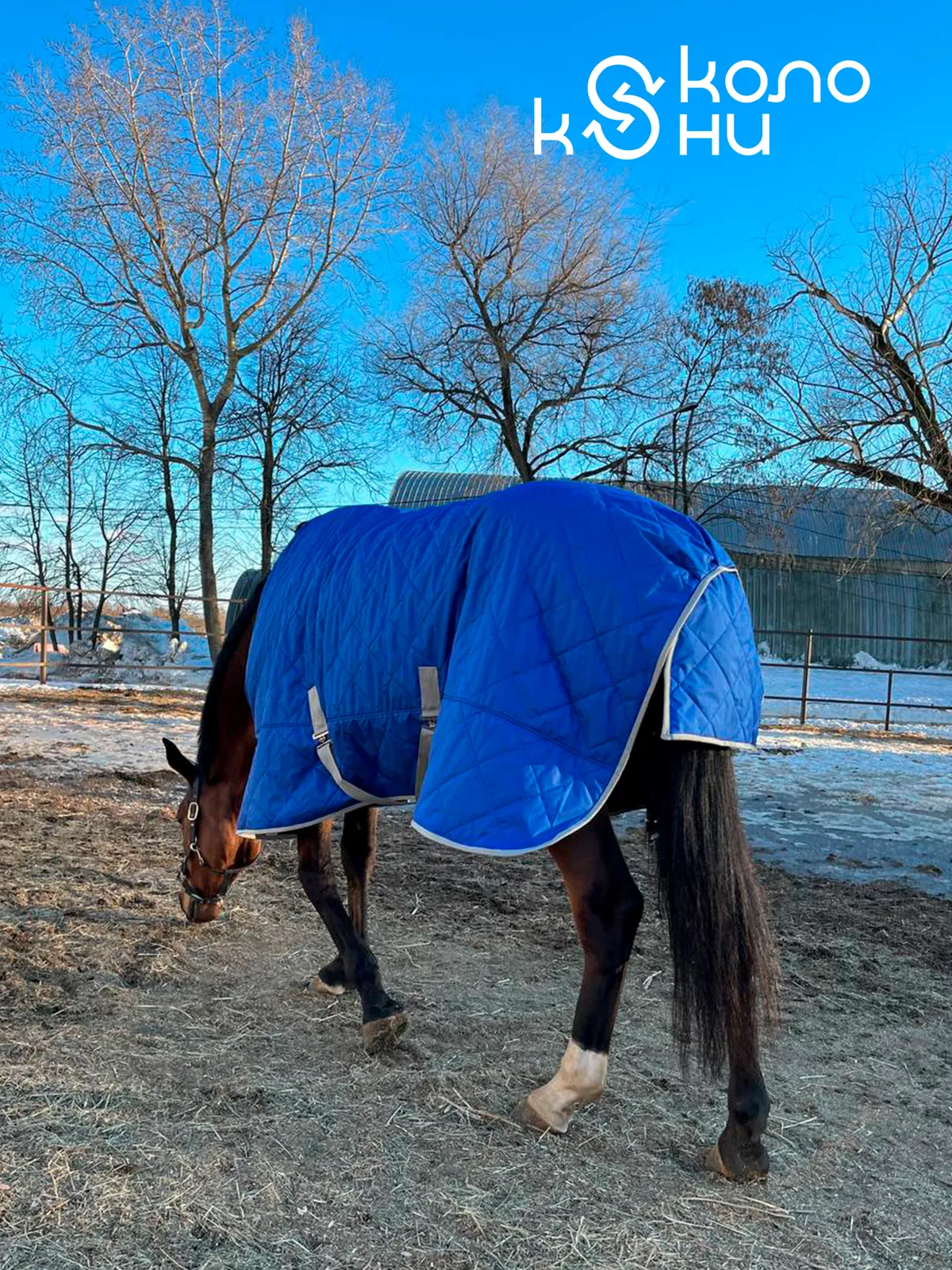 Попона зимняя для лошади конный спорт, верховая езда ОколоКони, цвет синий, р-р 155