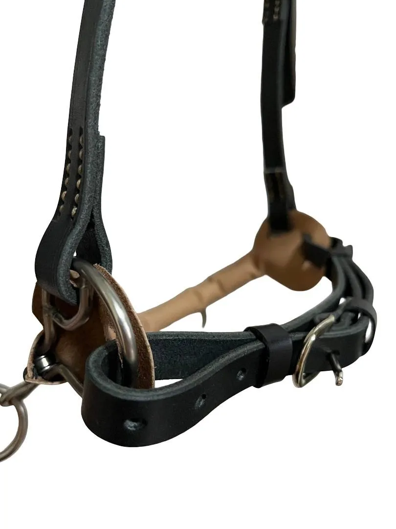 Кавессон с цепью Cob - Full 