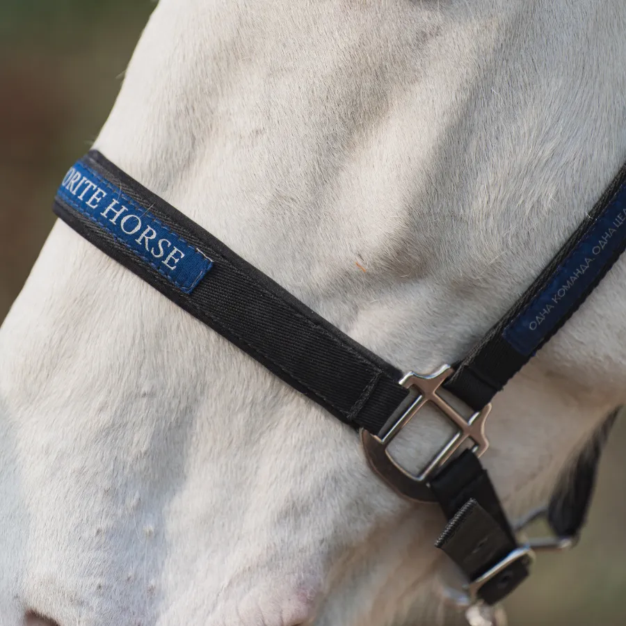 Недоуздок FAVORITE HORSE Comfort 