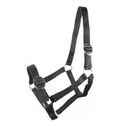 Недоуздок Equitare, cob
