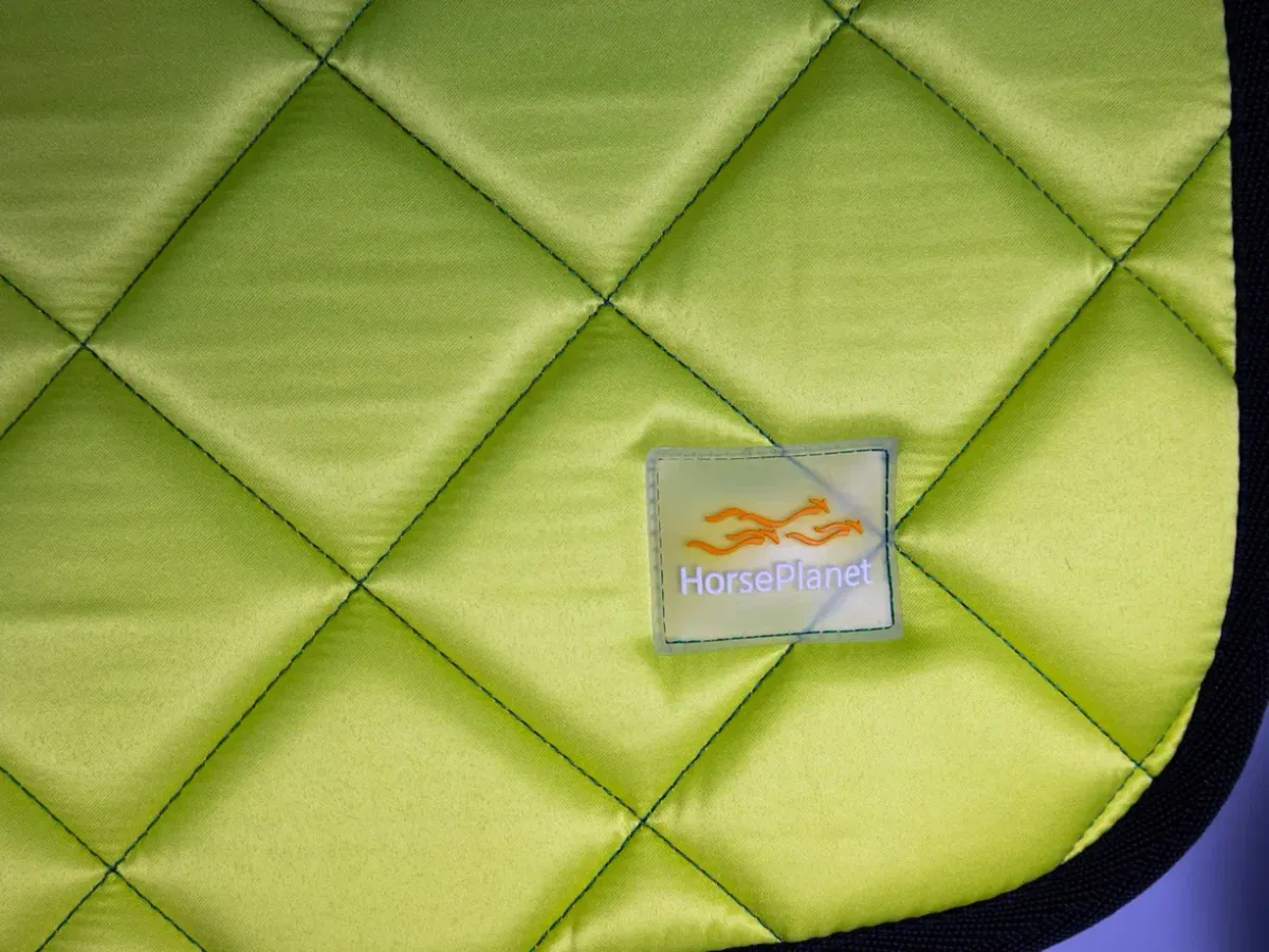 Выездковый вальтрап Vienna